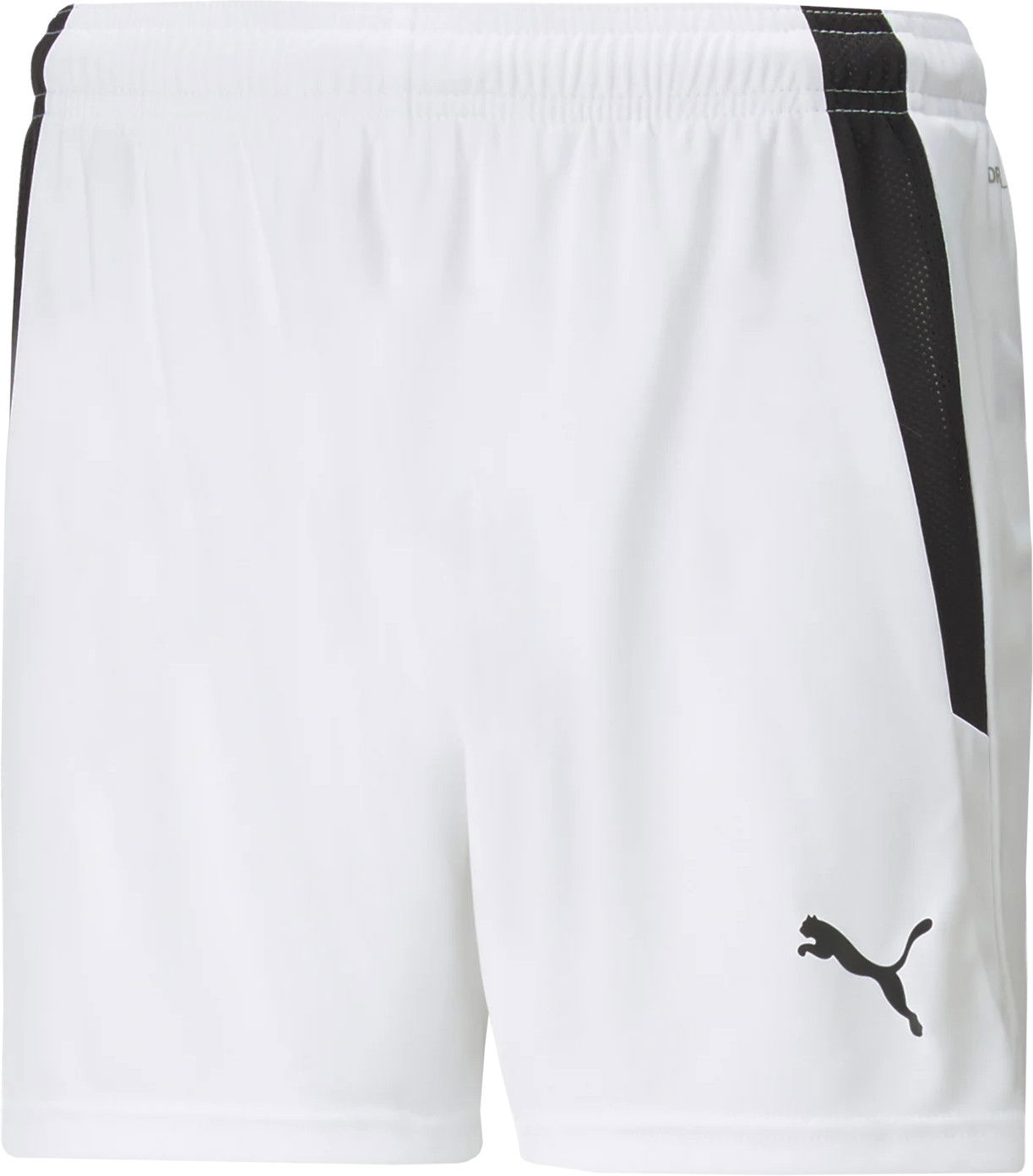 teamLIGA Shorts