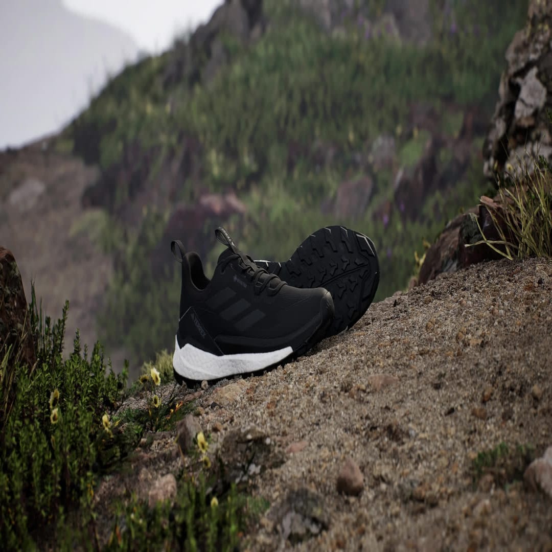 Terrex Free Hiker 2.0 Low Gore-Tex