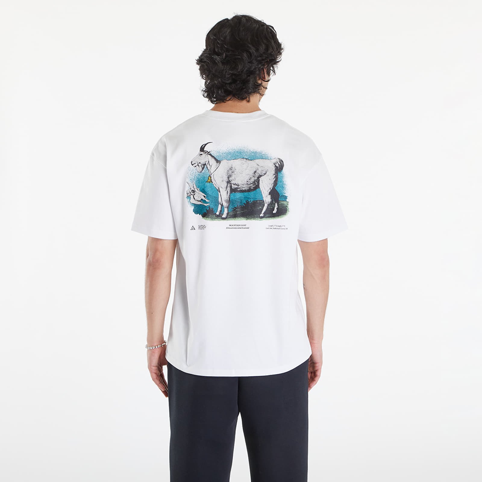 ACG Goat Rocks Dri-Fit T-Shirt