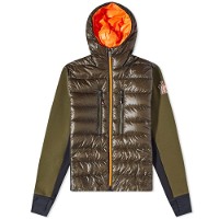 Grenoble Down Front Hooded Knit Jacket