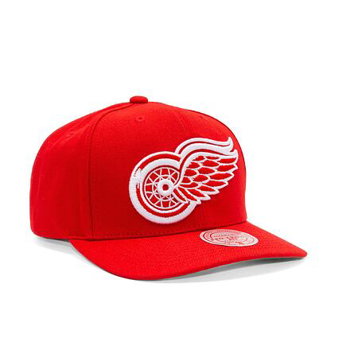 Mitchell & Ness NHL Team Ground 2.0 Pro Snapback Detroit Red Wings Red HHSS5370-DRWYYPPPRED1