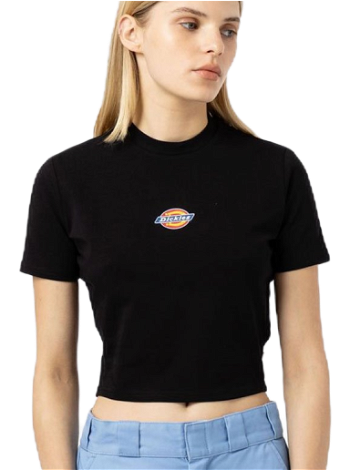 Dickies Maple Valley Tee DK0A4XPO-DKBLK