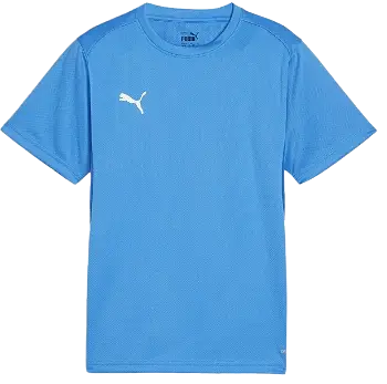 Puma teamGOAL T-Shirt 658636-02