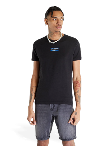 CALVIN KLEIN Transparent Stripe S/S T-Shirt J30J322872 BEH