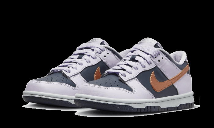 Dunk low Copper Swoosh (GS)