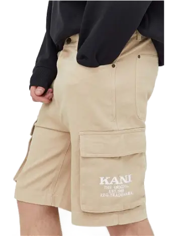 Karl Kani Small Signature Pinstripe Mesh Shorts 6013496