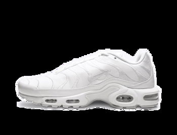 Nike Air Max Plus AJ2029-100