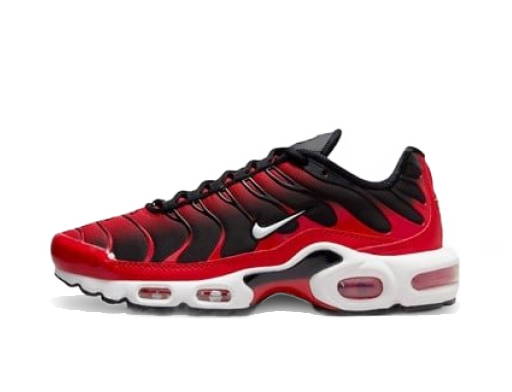 Nike Air Max Plus Drift Phantom Cacao Wow FD4290-001