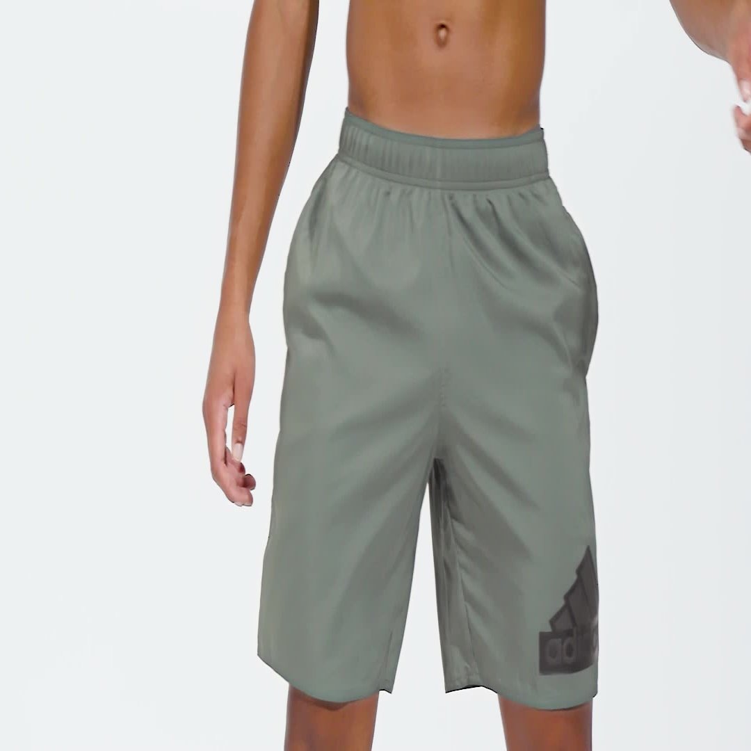 Sportswear Logo CLX Swim Shorts