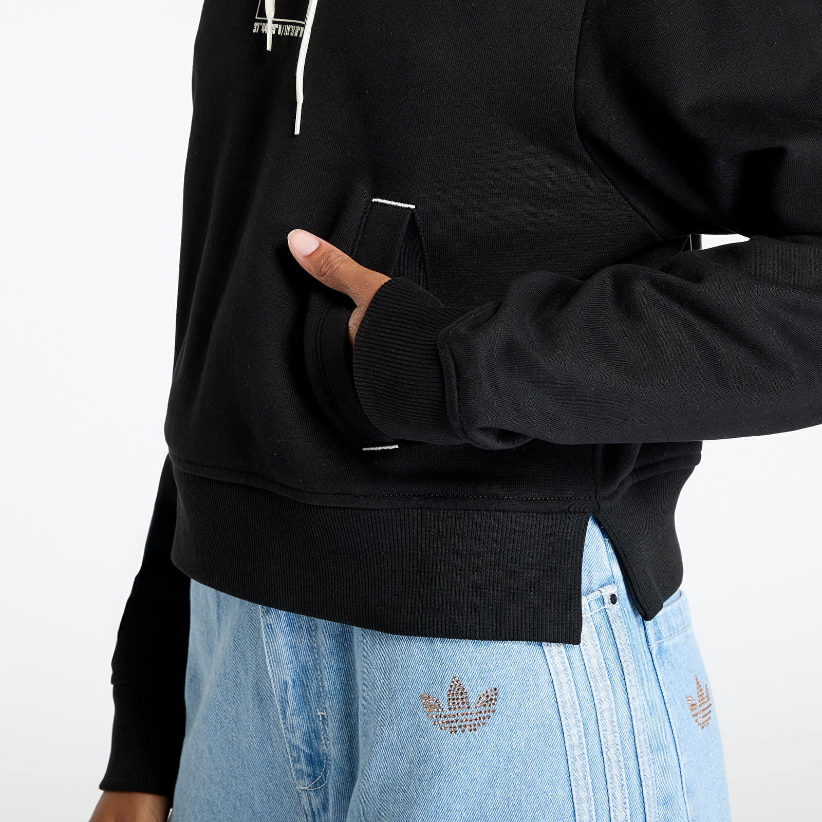 Coordinates Crop Hoodie Tnf Black