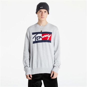 Tommy Hilfiger Branded Sweater DM0DM11365 P01