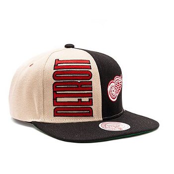 Mitchell & Ness NHL Pop Panel Snapback Detroit Red Wings Off White HHSS5371-DRWYYPPPOFWH