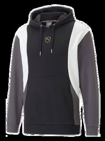 Puma King Hoodie 658343-004