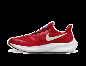 Nike Pegasus FlyEase DJ7381-601