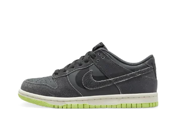 Nike Dunk Low "Iron Grey" GS DQ6215-001