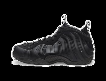 Nike Air Foamposite One "Anthracite" FD5855-001