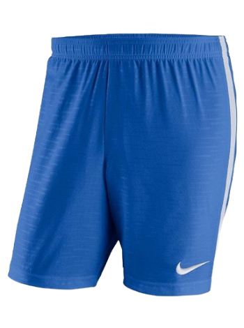Nike Venom Shorts 894128-463