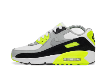 Nike Air Max 90 Leather GS CD6864-101