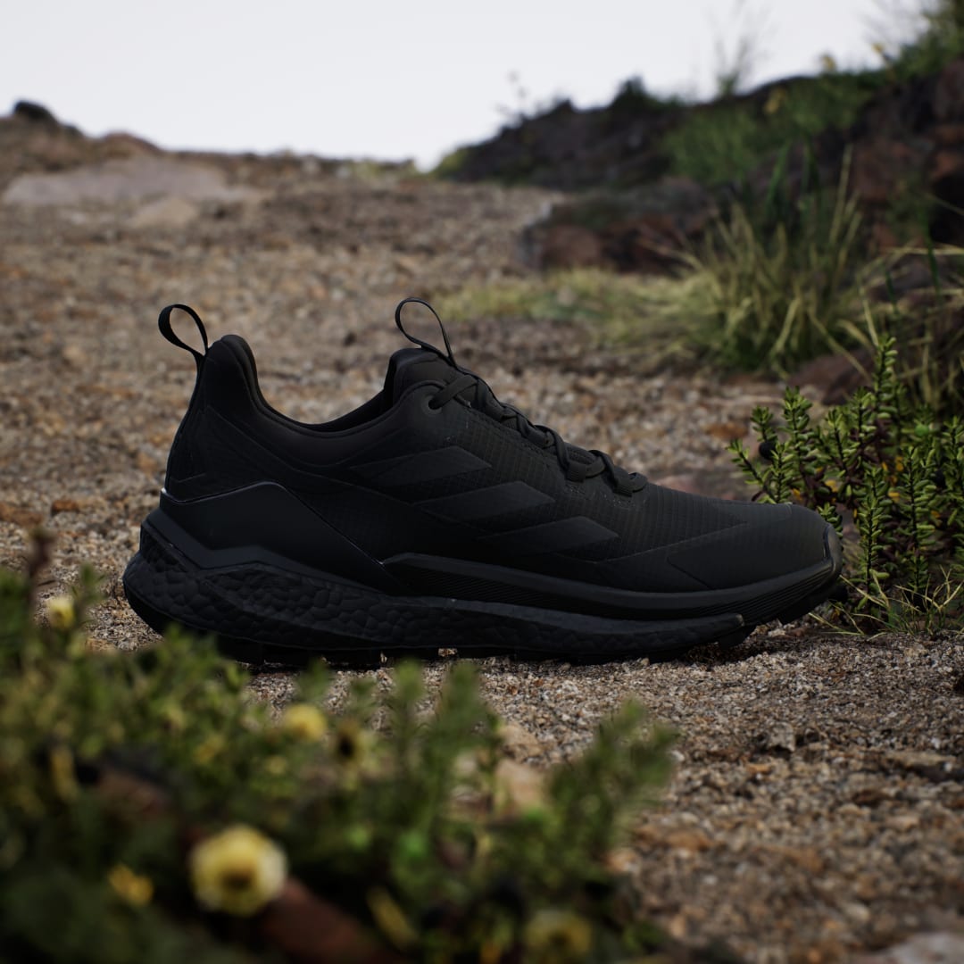 Terrex Free Hiker 2.0 Low Gore-Tex