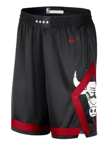 Nike Dri-FIT NBA Swingman Chicago Bulls City Edition 2023/24 DX8697-010