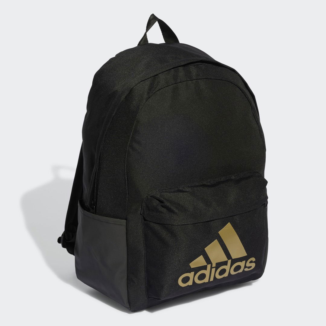 Classic Bage of Sport Backpack