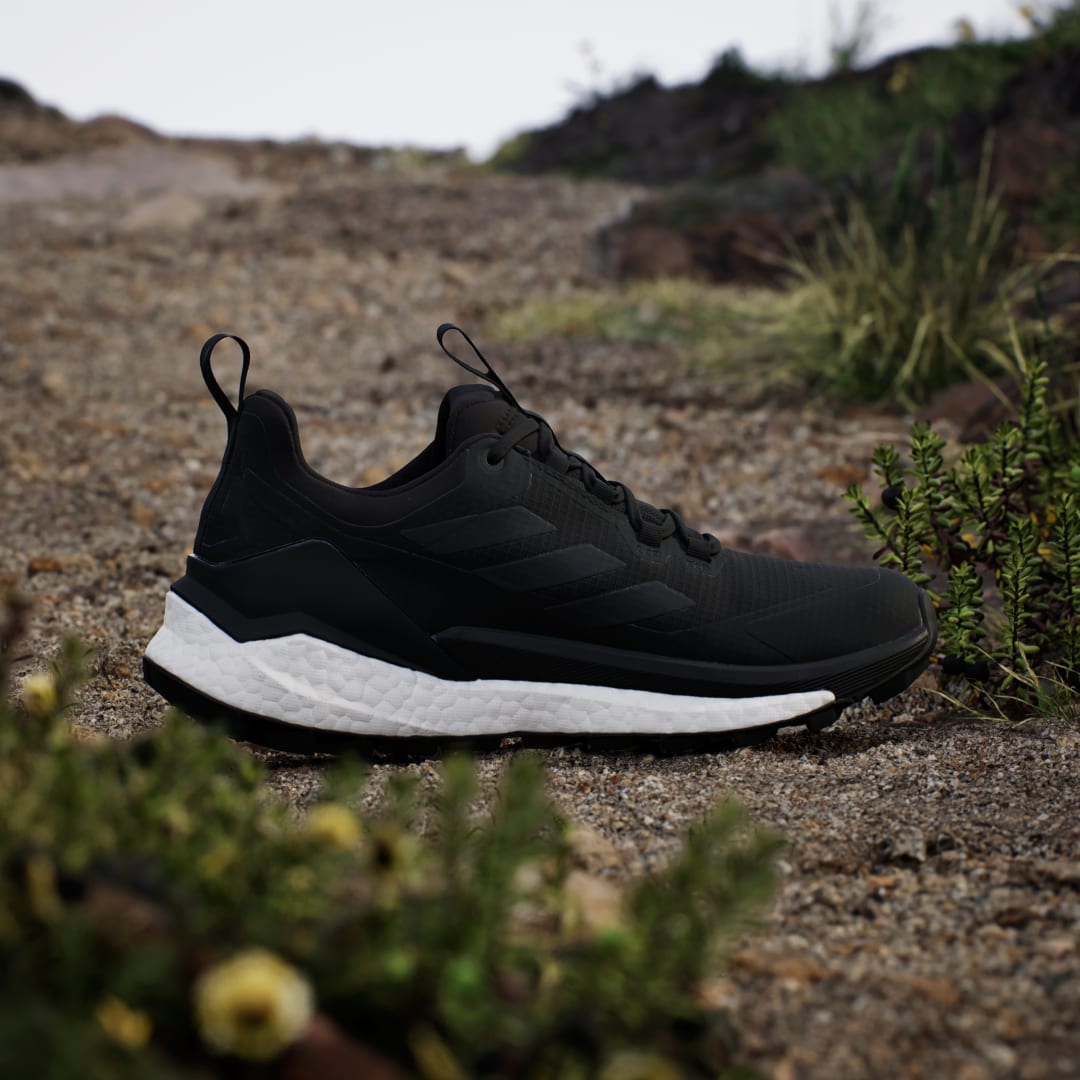 Terrex Free Hiker 2.0 Low Gore-Tex