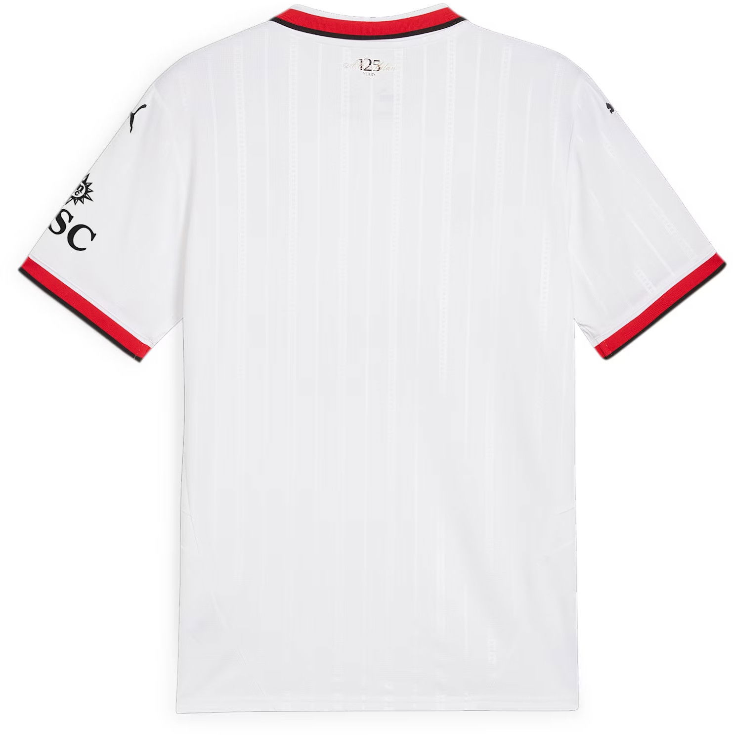 AC Milan Away Jersey Replica 2024/25