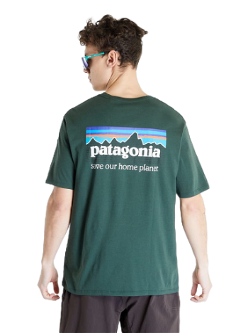 Patagonia P-6 Mission Organic T-Shirt 37529 PIGN