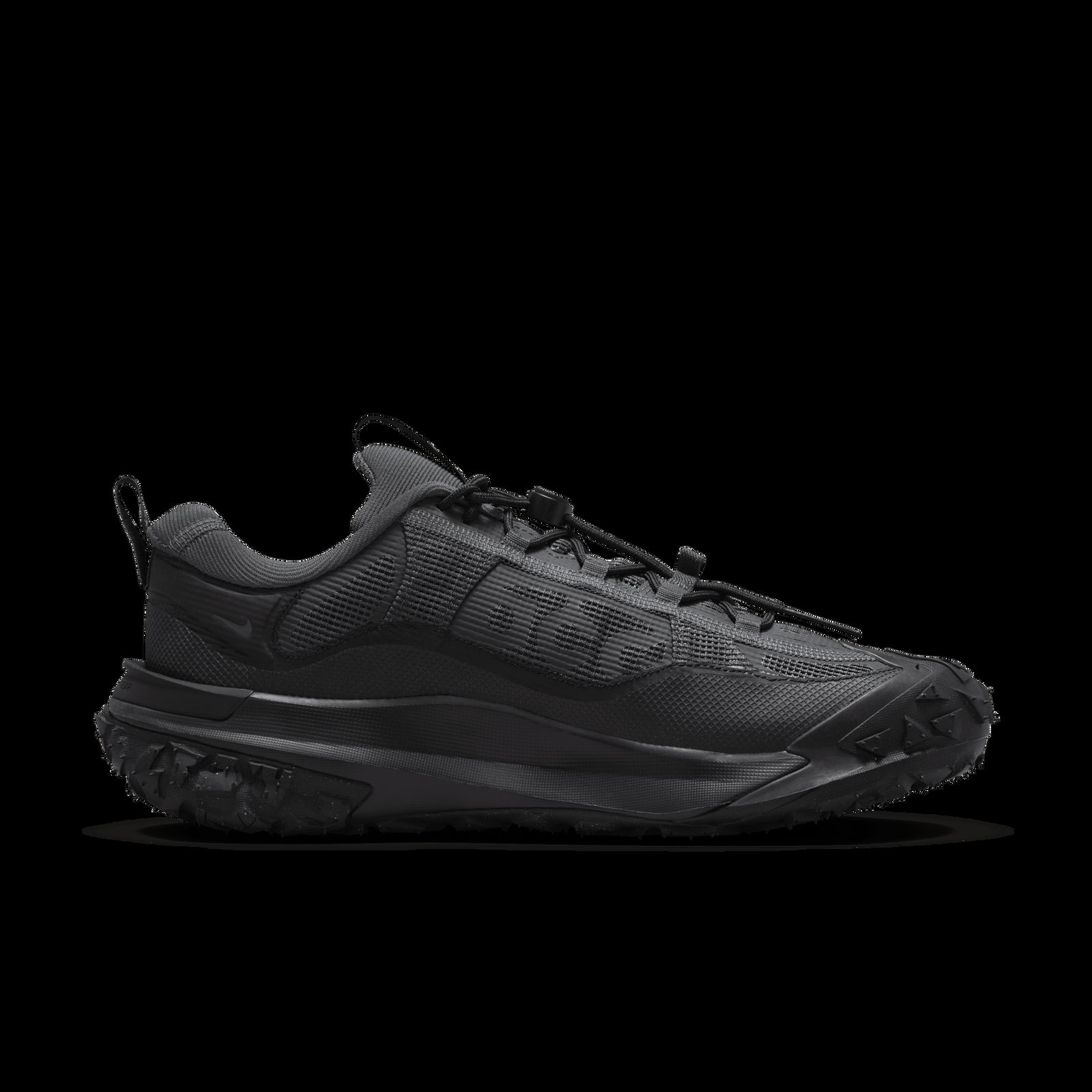 Mountain Fly 2 Low GORE-TEX