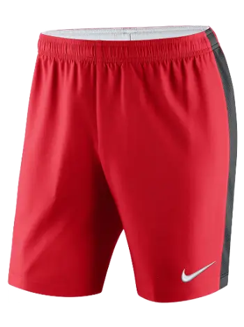 Nike Dri-FIT Venom II Shorts 894331-657