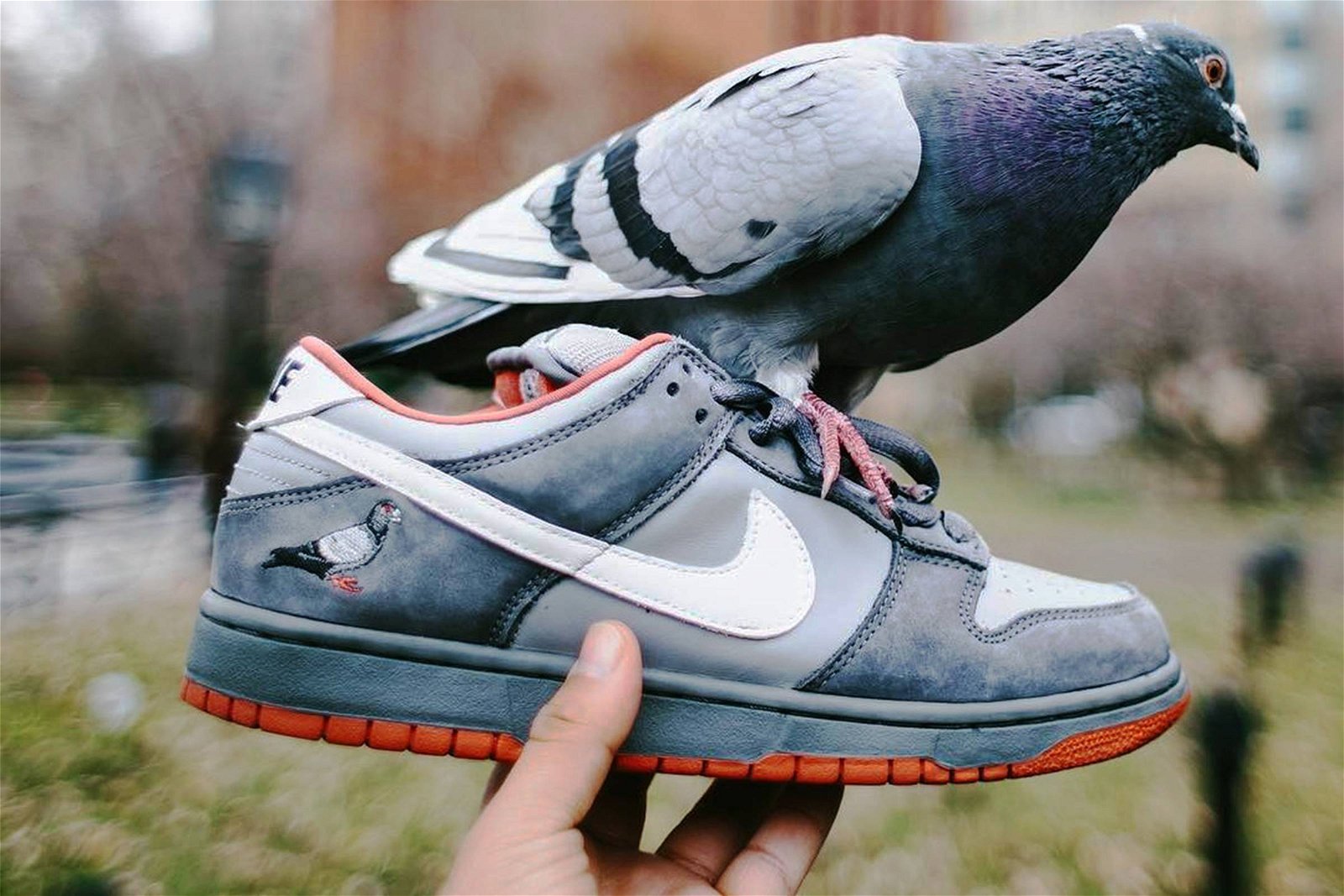 Nike Dunk SB Low “Pigeon&rdquo